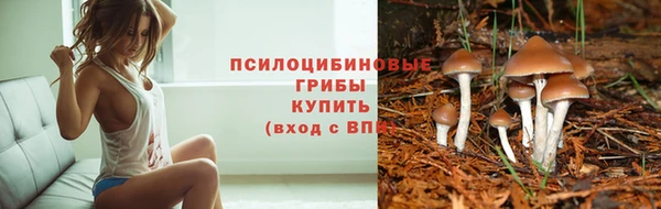твердый Беломорск