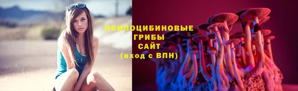 spice Белокуриха