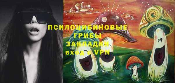 2c-b Белоозёрский