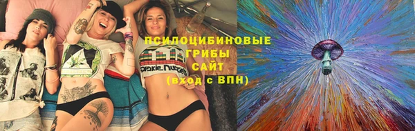 spice Белокуриха